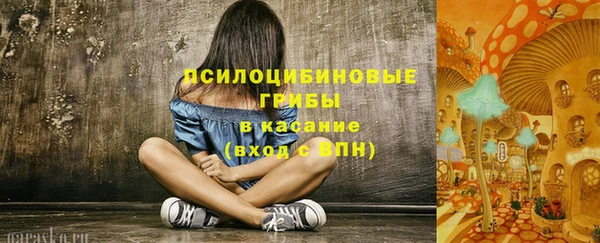 apvp Нефтекумск
