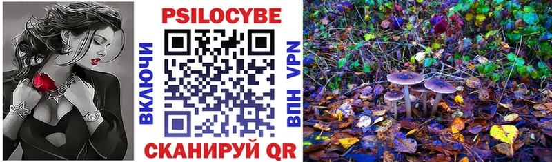 Псилоцибиновые грибы GOLDEN TEACHER  mega зеркало  Миньяр 